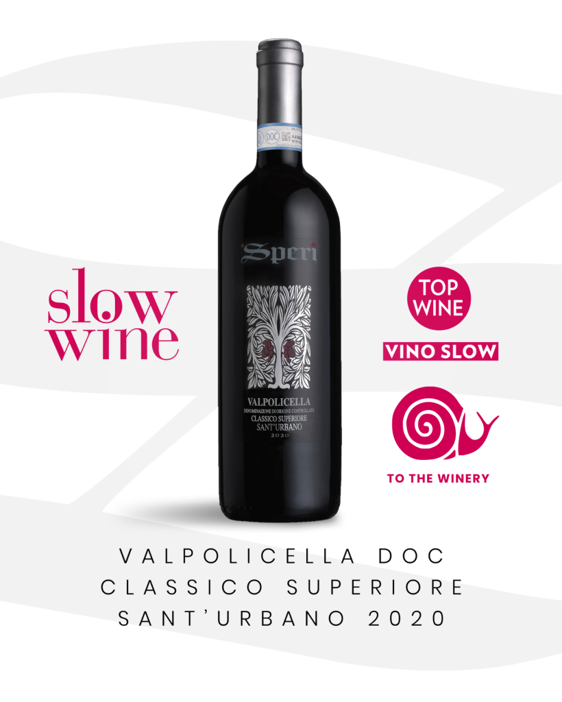 SNAIL TO THE CELLAR FROM SLOW WINE 2024 Speri Viticoltori   VISUAL LOW WINE SITO ENG 820x1024 